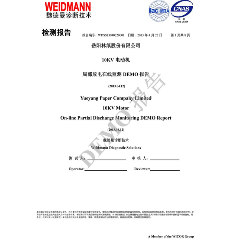 岳陽紙業(yè)10KV電動(dòng)機(jī)局部放電在線監(jiān)測(cè)報(bào)告